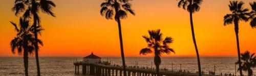 Palm trees on Manhattan Beach at orange sunset in California